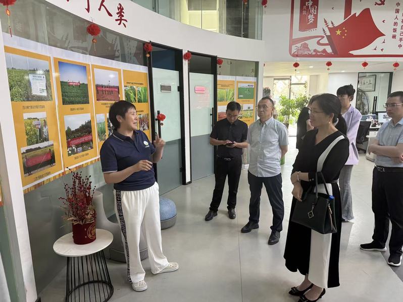 电子信息学院、集成电路学院赴大...